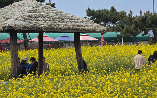 20250428105217_5F6MvT1e.jpg_carousel_부산관광버스투어_뉴부산관광&영진카,부산관광버스투어,부산관광버스,부산차량시트수리
